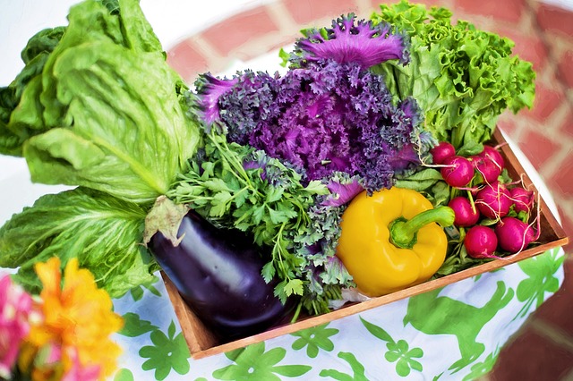 5 Tips to Keep Organic Food Fresher Longer
